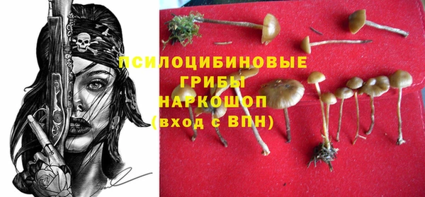 мескалин Арсеньев