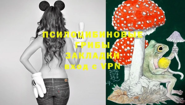 apvp Аркадак