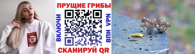 hydra зеркало Радужный Галлюциногенные грибы мицелий